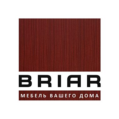 Логотип BRIAR
