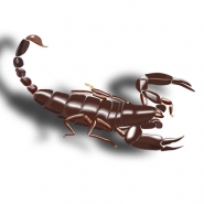 scorpio