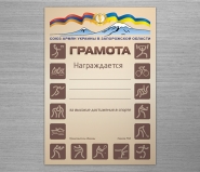 Грамота за спортивные достижения