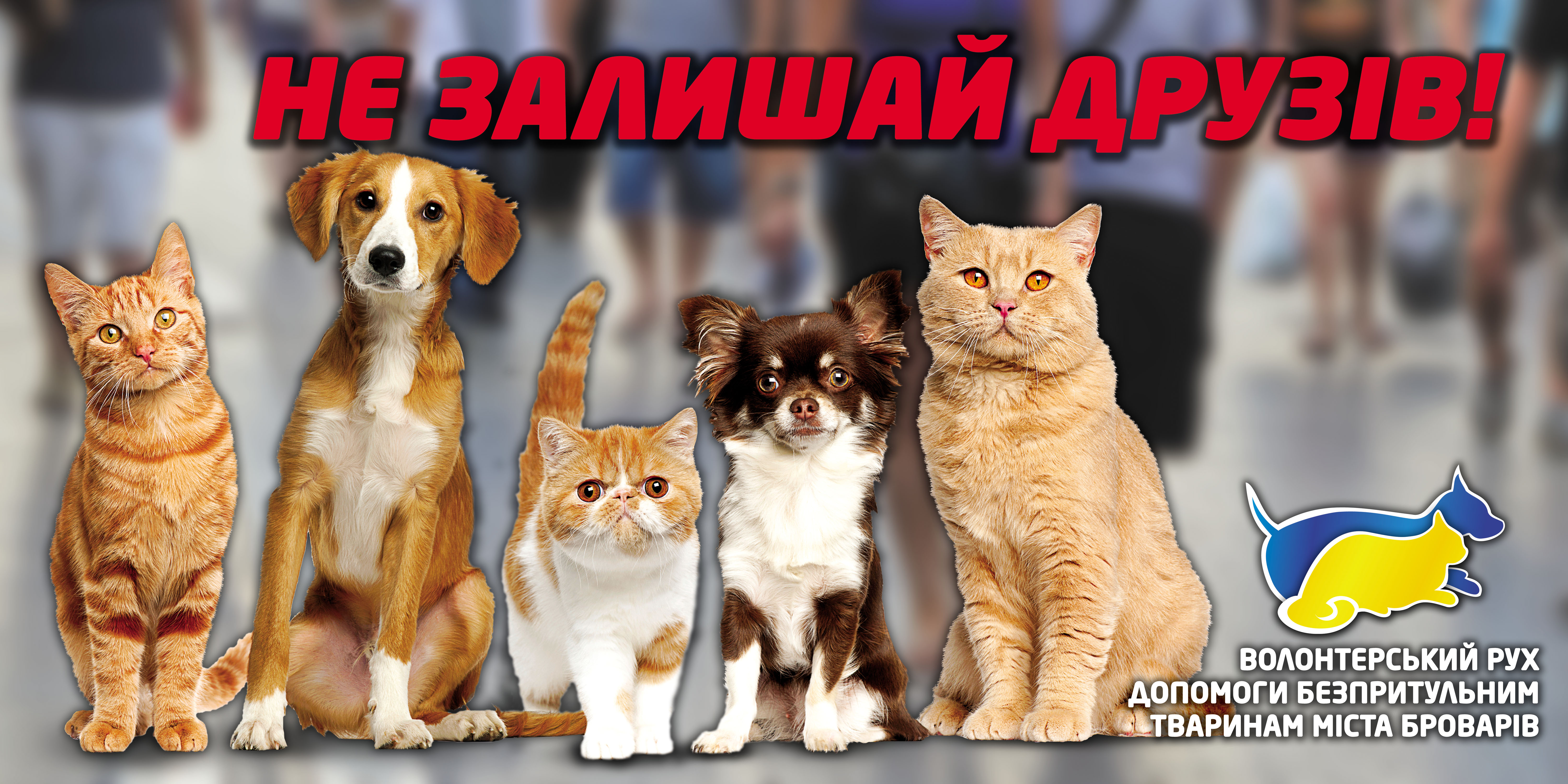 Благотворительные борды.