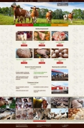 Интернет-магазин фермерской продукции "Бурёнкин Двор" 