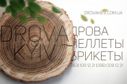 Дизайн лого