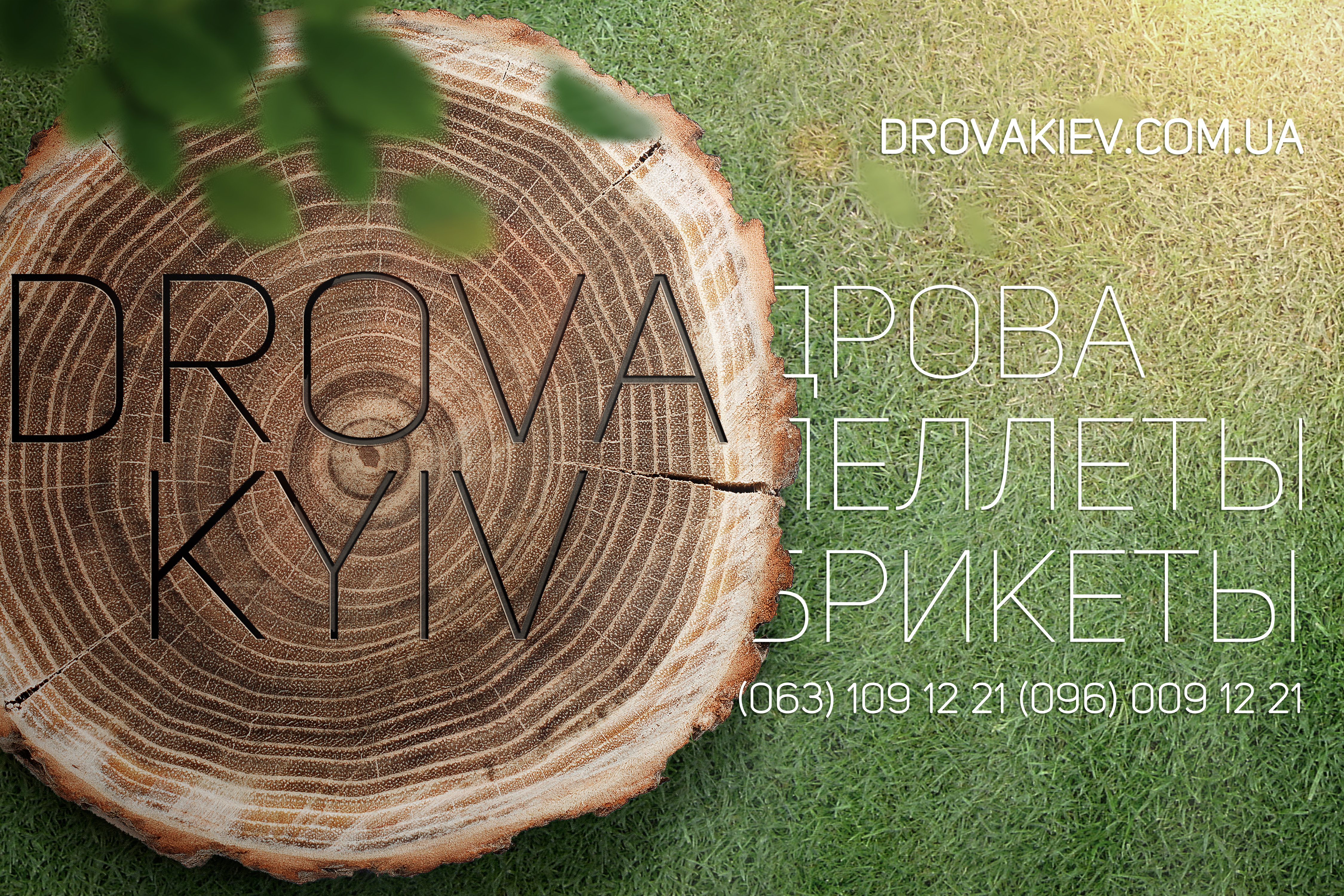 Дизайн лого