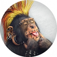 «Punk Monkey»
