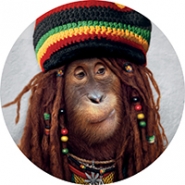 «RastaMan»