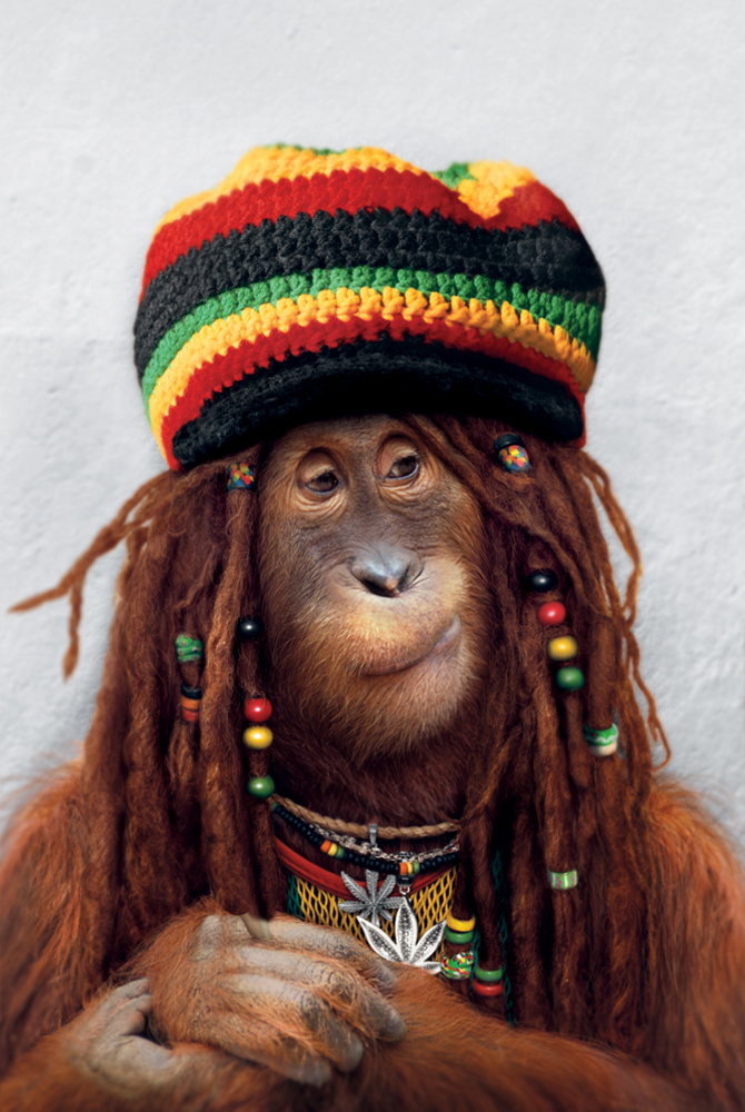 «RastaMan»