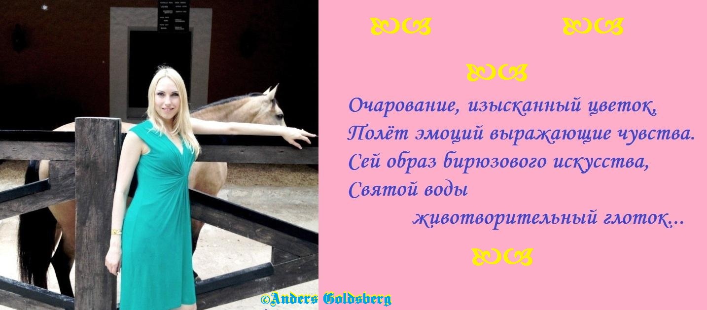 Дружеский шарж