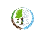 Логотип FS 