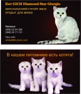 Визитка