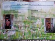 Презентационный материал
