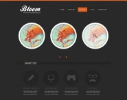 Bloom