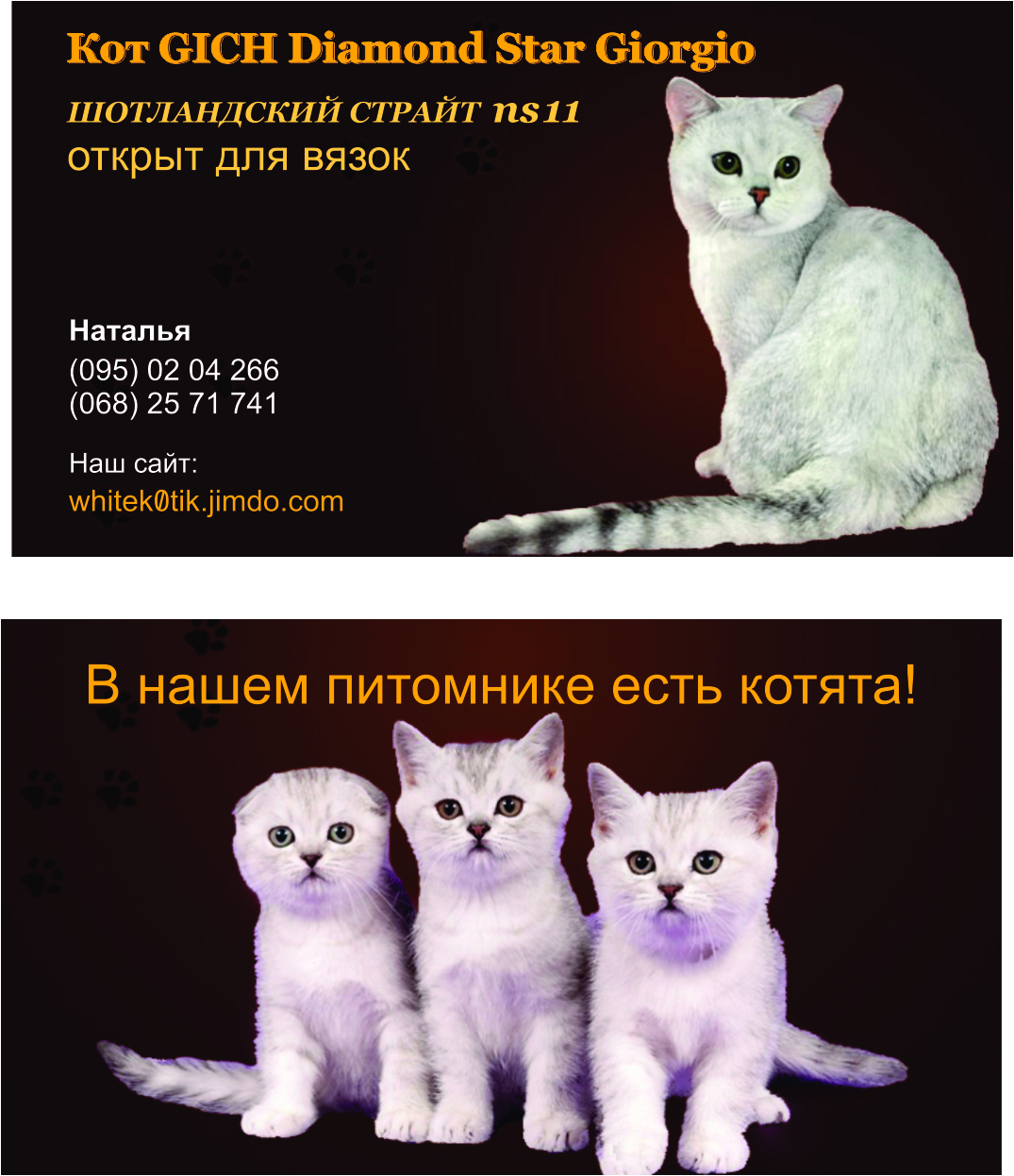 Визитка