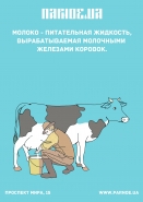 плакат 