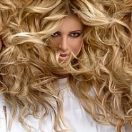 The lion's mane