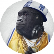 «Rapper Monkey»