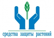 лого