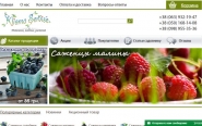 Создание сайта на Opencart 1.5.6.4