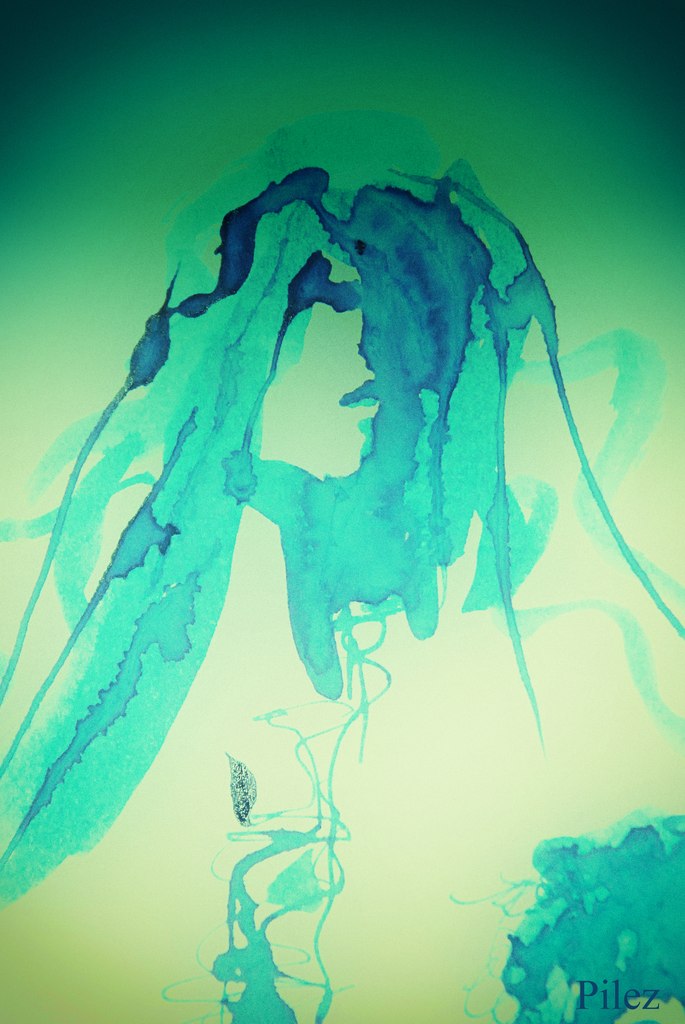 Shadow
