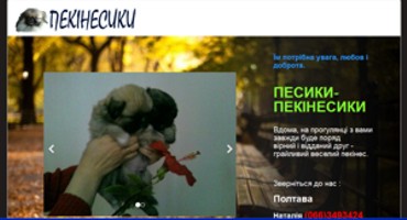 Landingpage pekines.pp.ua