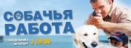 Баннер на сайт