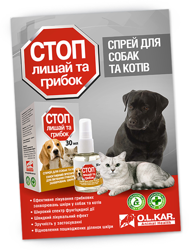Листовка а4   	 