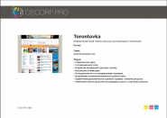 SEO_Torontovka.png