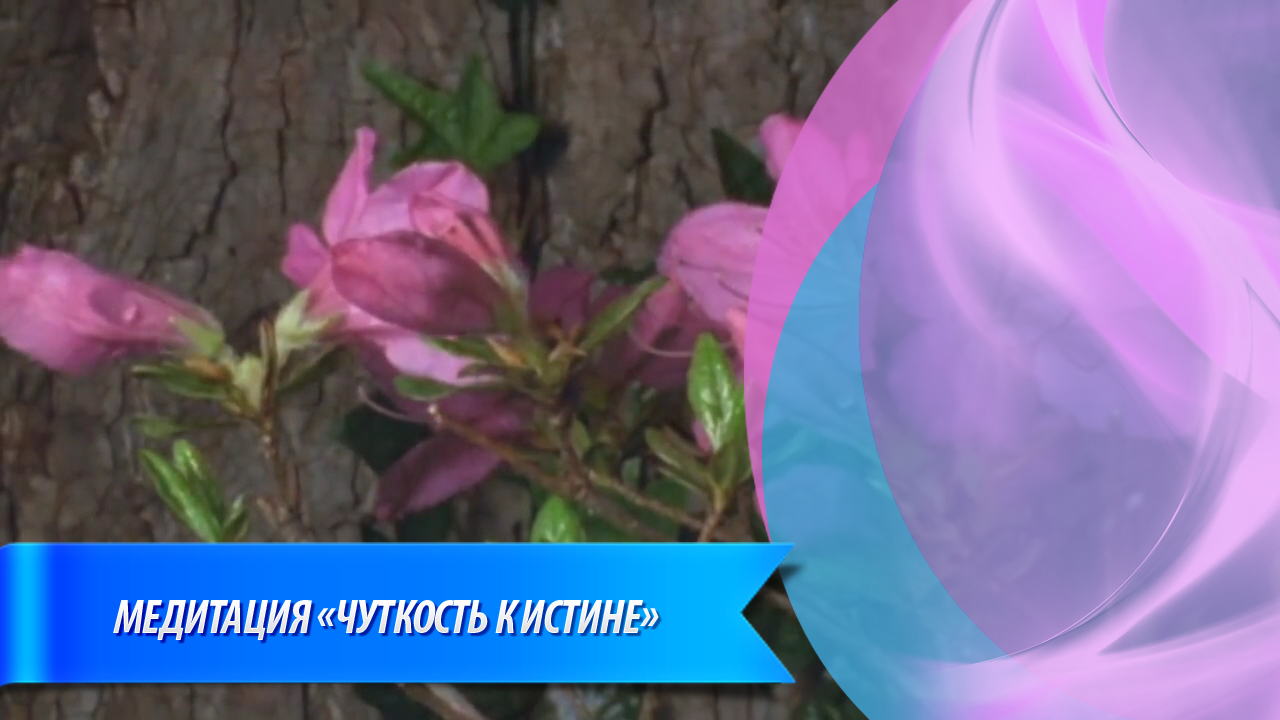 создание видеоролика