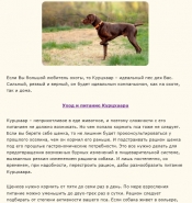 Уход и питание Курцхаара
