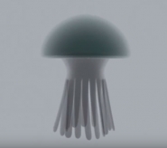 Jellyfish