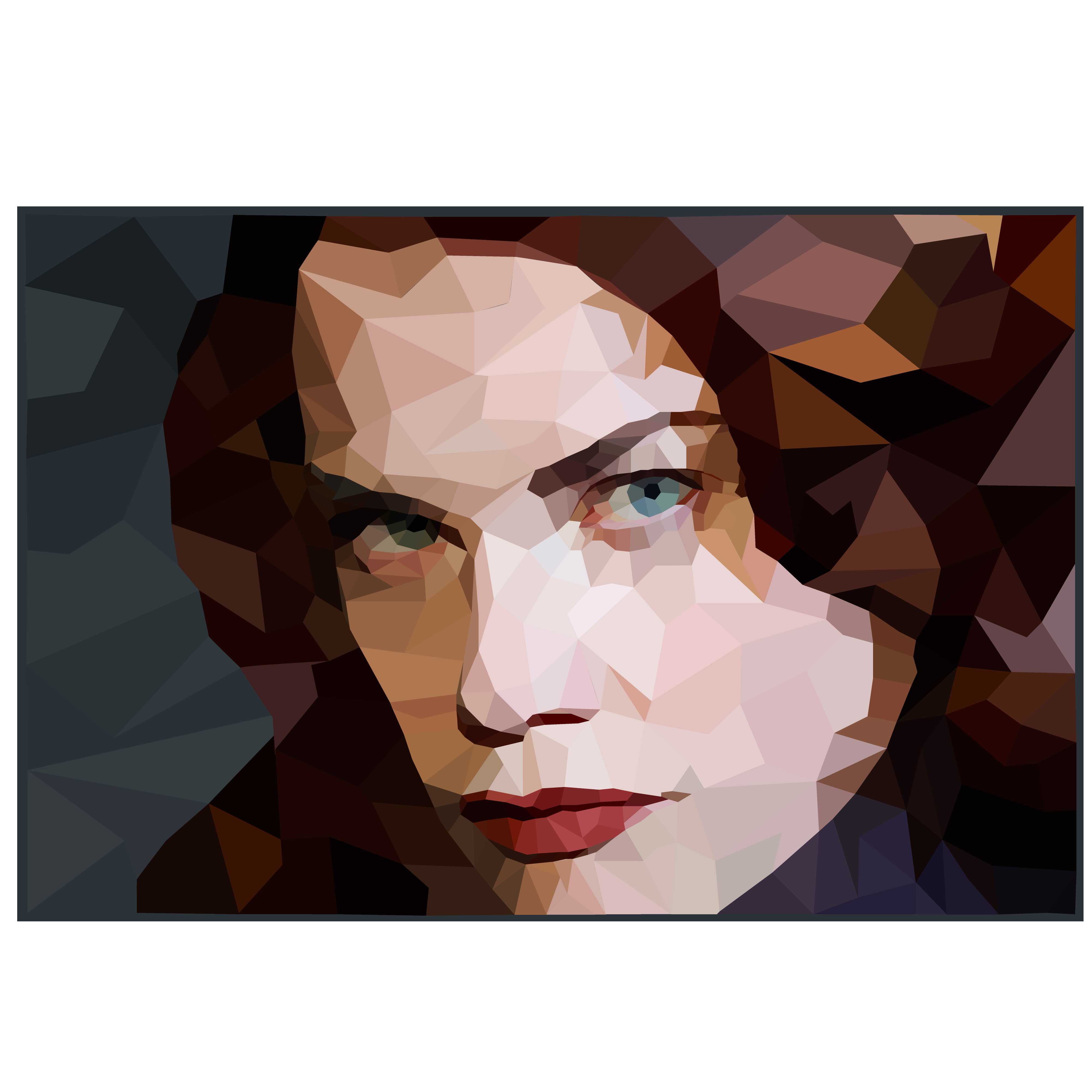vector illustration