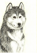 рисунок