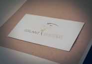 Логотип Galant System
