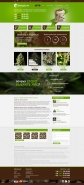 Cannabis