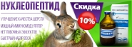 банер