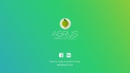 Разработка «под ключ» посадочной страницы для моей команды AGRUS Web Studio