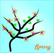 Spring