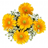 flowers7-097 copy.jpg