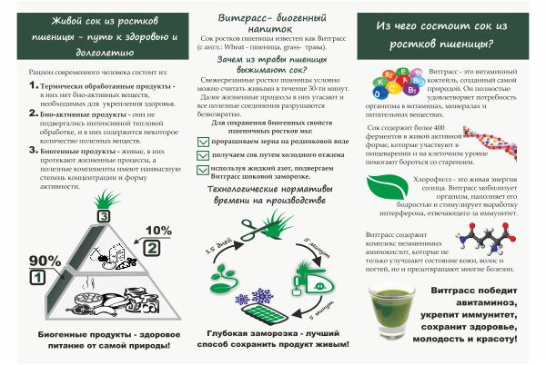 буклет для компании Зелень для Жизни часть 2