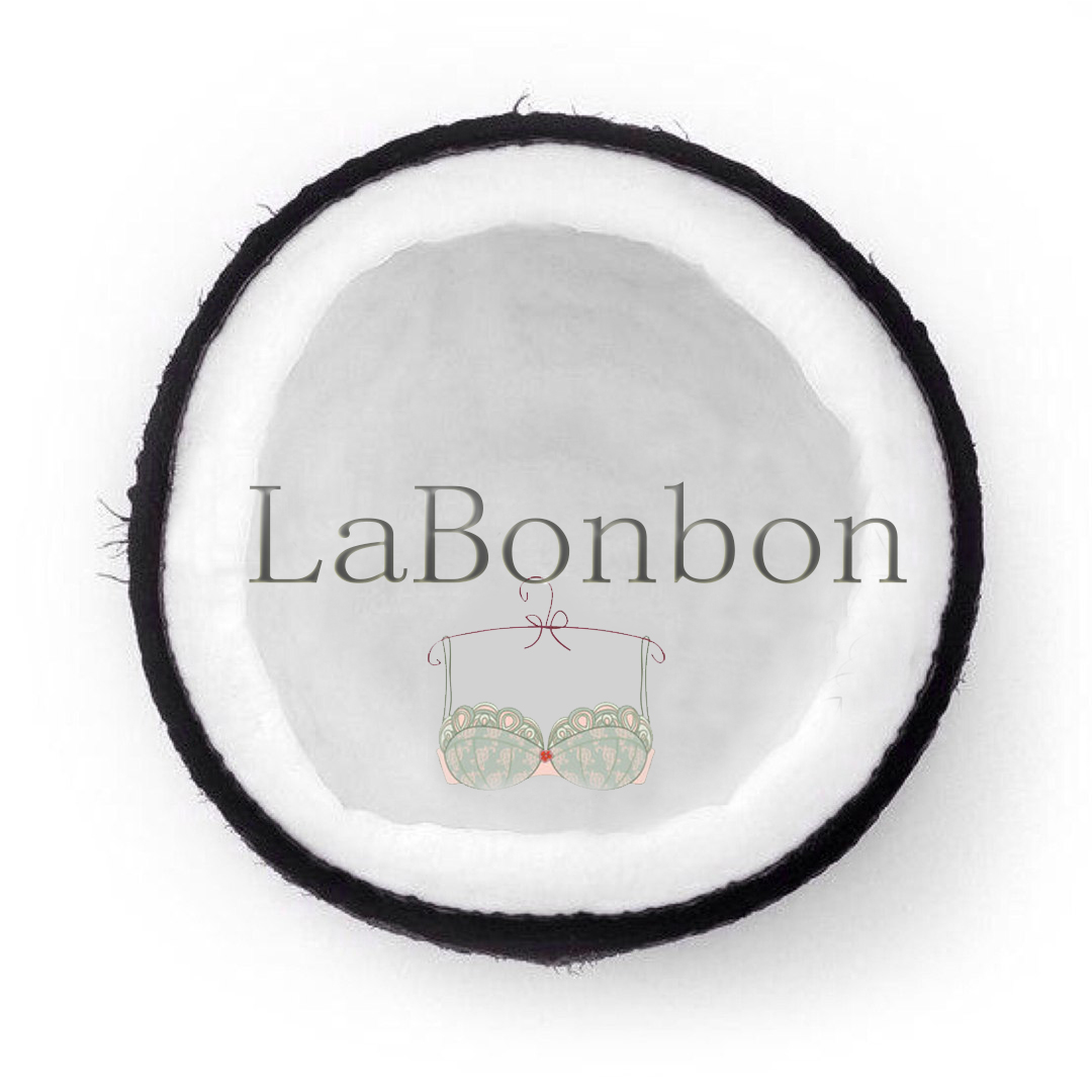 робота з логотипом магазина Labonbon