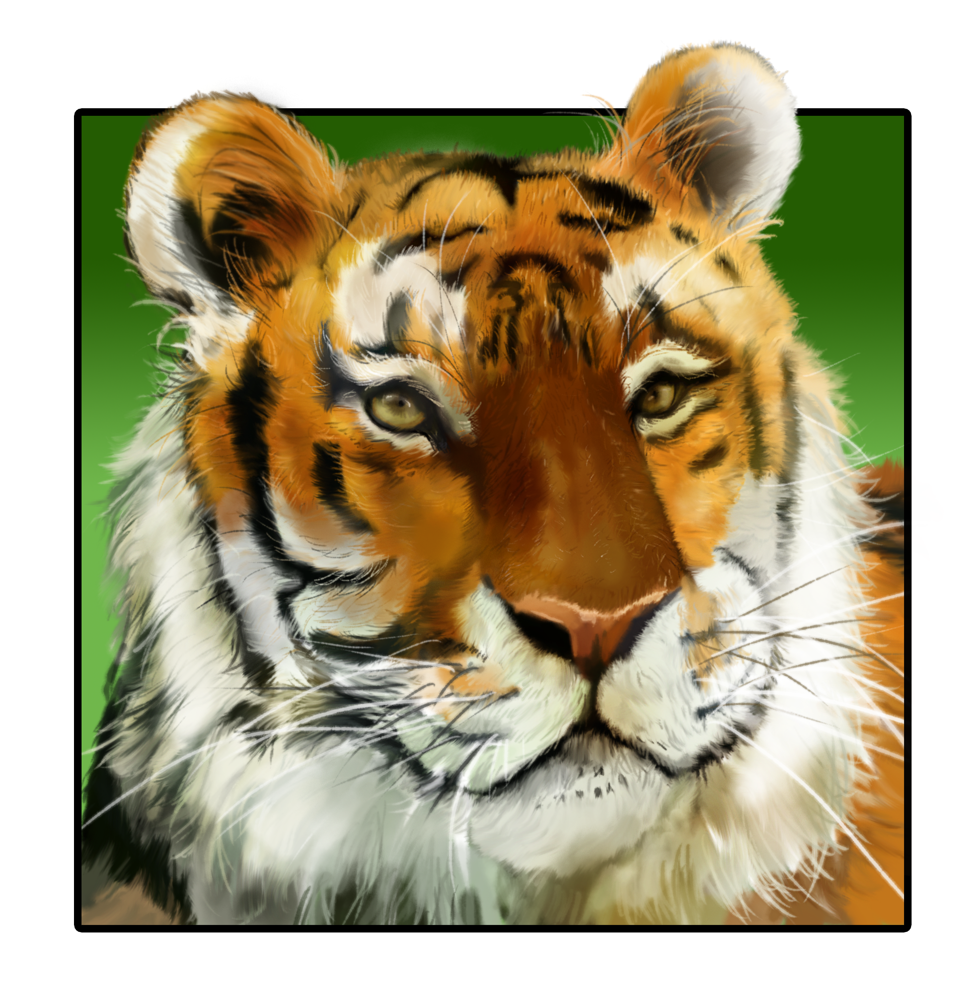 tiger
