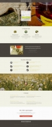 Landing Page по продаже чая