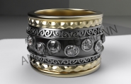 ring1.2121.png