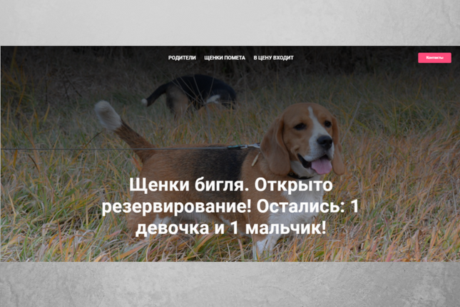 Создание Landing Page Tilda.ws (продажа щенков)