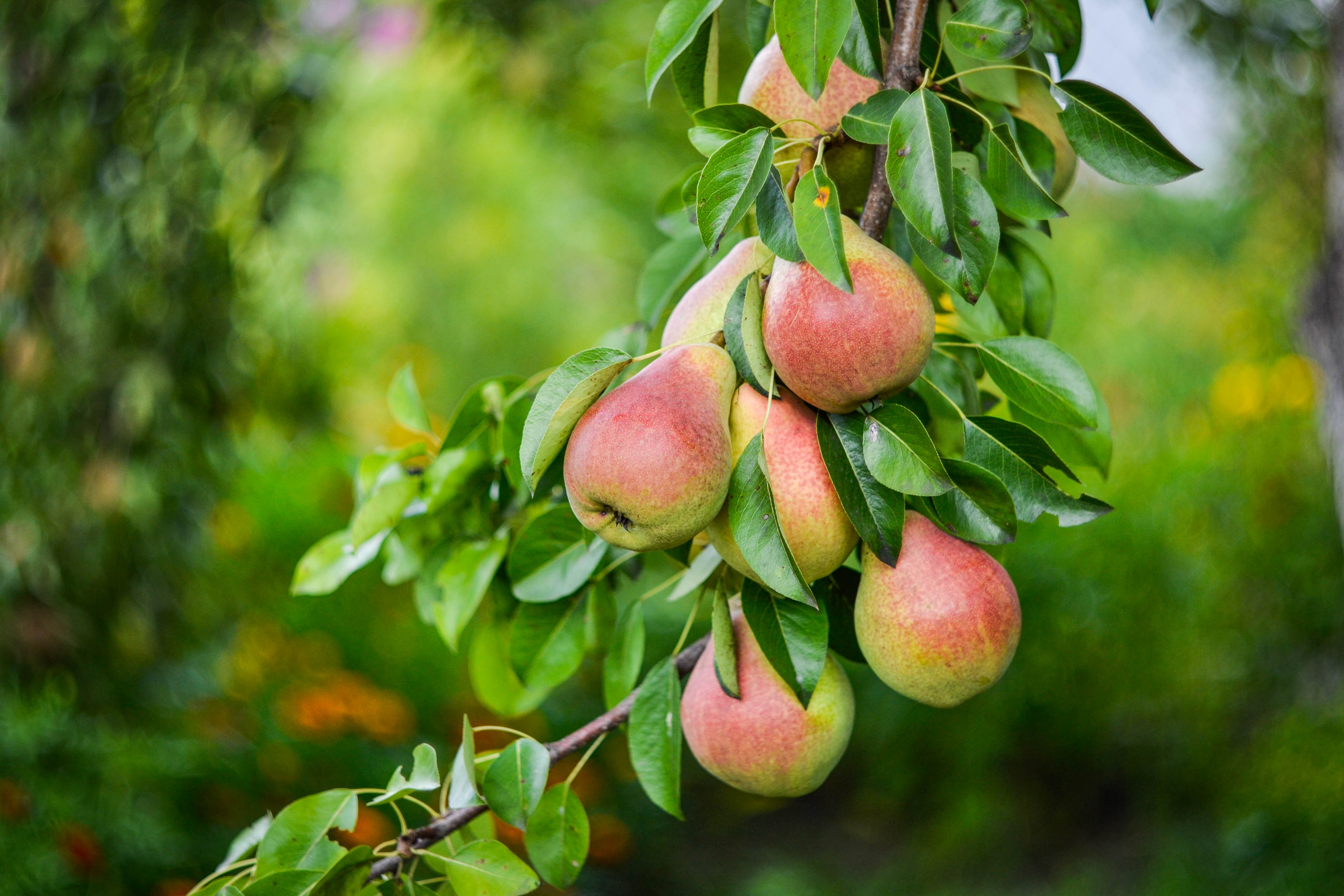 Ретушь\цветокоррекция