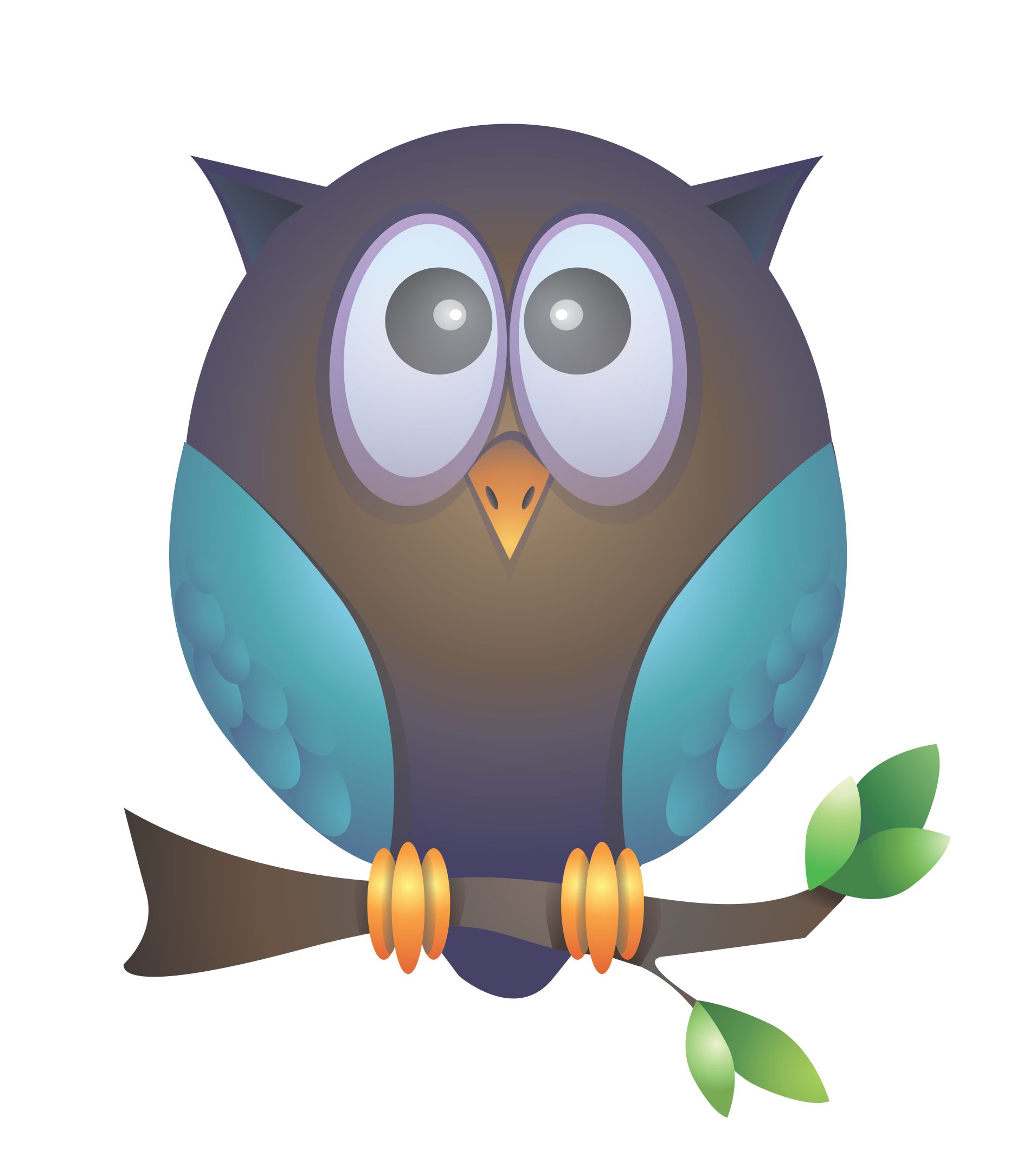 owl