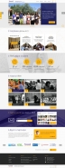 NGO IRMI Website design