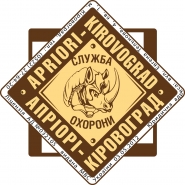 разработка логотипа для охранного агентства