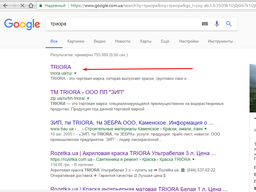 Выведение в топ сайт "TRIORA"