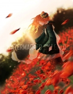 On the poppy field