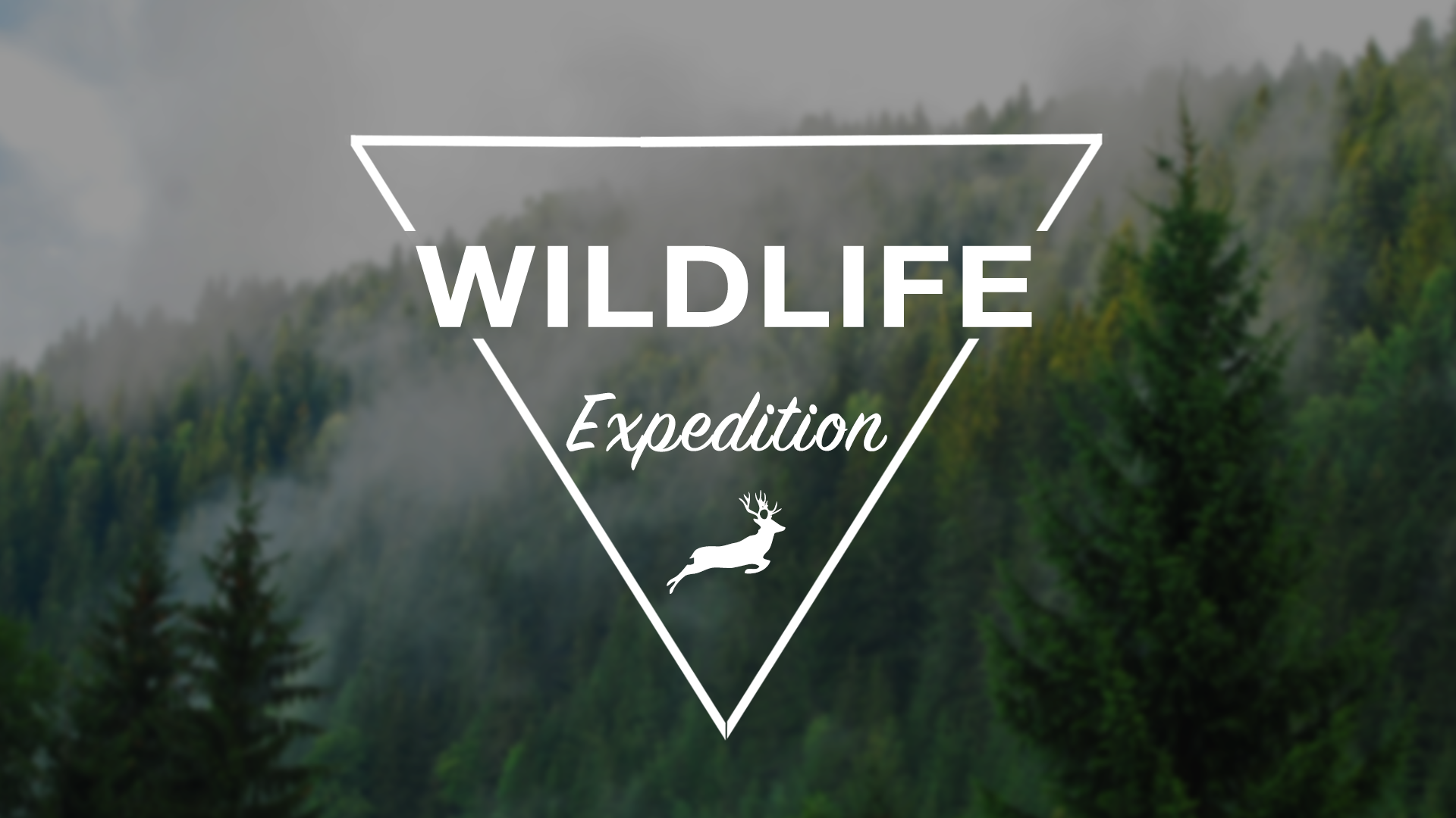 Логотип "WildLife"